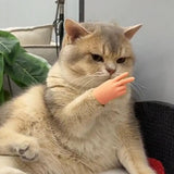 6Pcs Mini Hands Set for Cats Small Elastic Human Hands Toy for Cats - Side View