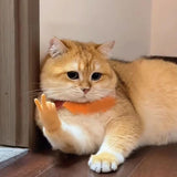 6Pcs Mini Hands Set for Cats Small Elastic Human Hands Toy for Cats - Top-Down View