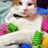 40Pcs Cat Spring Toys Colorful Cat Spiral Bouncy Toys Interactive Toys for Cats and Kittens - 45-Degree Angle