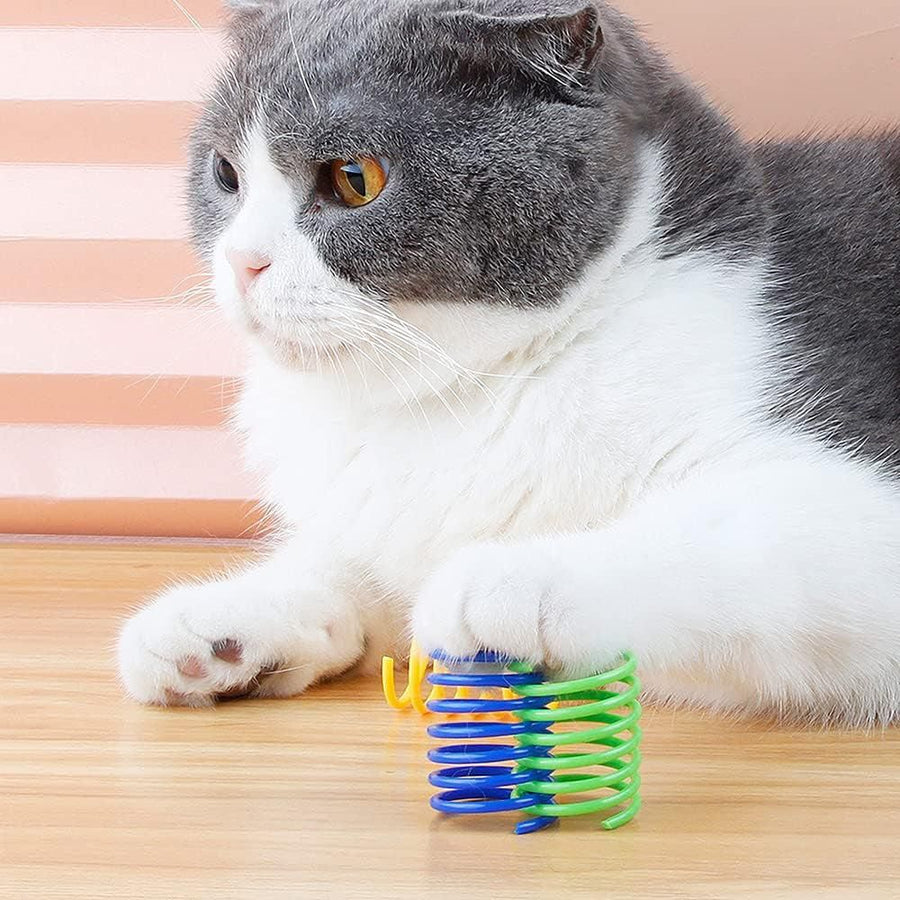 40Pcs Cat Spring Toys Colorful Cat Spiral Bouncy Toys Interactive Toys for Cats and Kittens