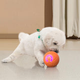 2Pcs 5CM Automatic Moving Ball Toys for Cats USB Rechargeable Interactive Cat Bouncing Toys - Front View