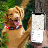 Luminous LED Pet Dog Collar Light-up USB Rechargeable Dog Collar Red - S - Side View