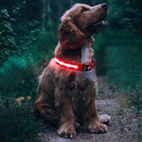 Luminous LED Pet Dog Collar Light-up USB Rechargeable Dog Collar Red - L - Front View