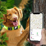 Luminous LED Pet Dog Collar Light-up USB Rechargeable Dog Collar Green - S - Front View