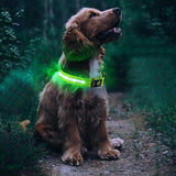 Luminous LED Pet Dog Collar Light-up USB Rechargeable Dog Collar Green - M - Side View