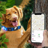 Luminous LED Pet Dog Collar Light-up USB Rechargeable Dog Collar Blue - S - Side View
