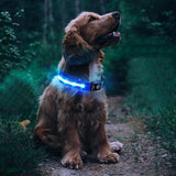 Luminous LED Pet Dog Collar Light-up USB Rechargeable Dog Collar Blue - M - Front View