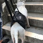 Pet Dog Support Harness Walking Vest Dog Sling Support Sling Gray - S