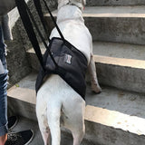Pet Dog Support Harness Walking Vest Dog Sling Support Sling Gray - L - 45-Degree Angle