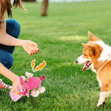 Dog Toys for Aggressive Chewers - Squeaky Toys to Keep Dogs Busy Style 2 - Front View