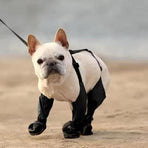 Waterproof Pet Boots Dog Rain Shoes for Outdoor Use - XS