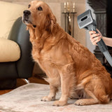 Pet Grooming Brush Kit Dog Hair Brush Vacuum Attachment for Dyson V7 V8 V10 V11 Vacuum - Top-Down View