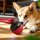 Squeaky Rolling Ball Dog Toy - Interactive Motion-Activated Chew Toy for Dogs Red - Front View