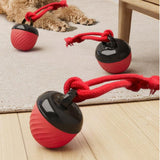 Squeaky Rolling Ball Dog Toy - Interactive Motion-Activated Chew Toy for Dogs Red - Top-Down View