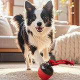 Squeaky Rolling Ball Dog Toy - Interactive Motion-Activated Chew Toy for Dogs Red - Close-Up Angle