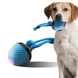 Squeaky Rolling Ball Dog Toy - Interactive Motion-Activated Chew Toy for Dogs Red - Low Angle