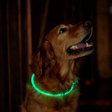 Light-Up Pet Dog Collars USB Rechargeable Pet Collar Adjustable Size Pet Collar Green - M - Front View