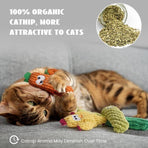 5 Pack Catnip Toys, Pure Organic Catnip Stuffed, Chew Plush for Indoor Cats