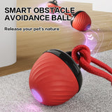 Electric Rolling Pet Ball for Cats and Dogs, Durable, Chew-Resistant, Rope-Knot, Squeaky, and Glowing Toy - Red - Close-Up Angle