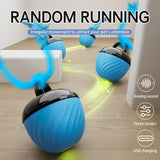 Electric Rolling Pet Ball for Cats and Dogs, Durable, Chew-Resistant, Rope-Knot, Squeaky, and Glowing Toy - Blue - Front View