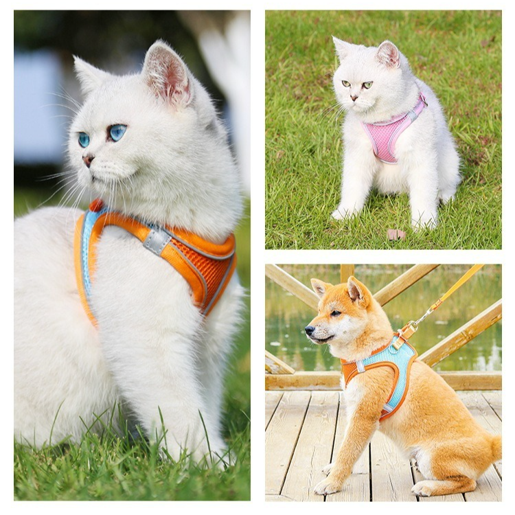 Breathable Reflective Pet Harness Set: Vest-Style Dog Harness + Leash - Pink and Blue-L