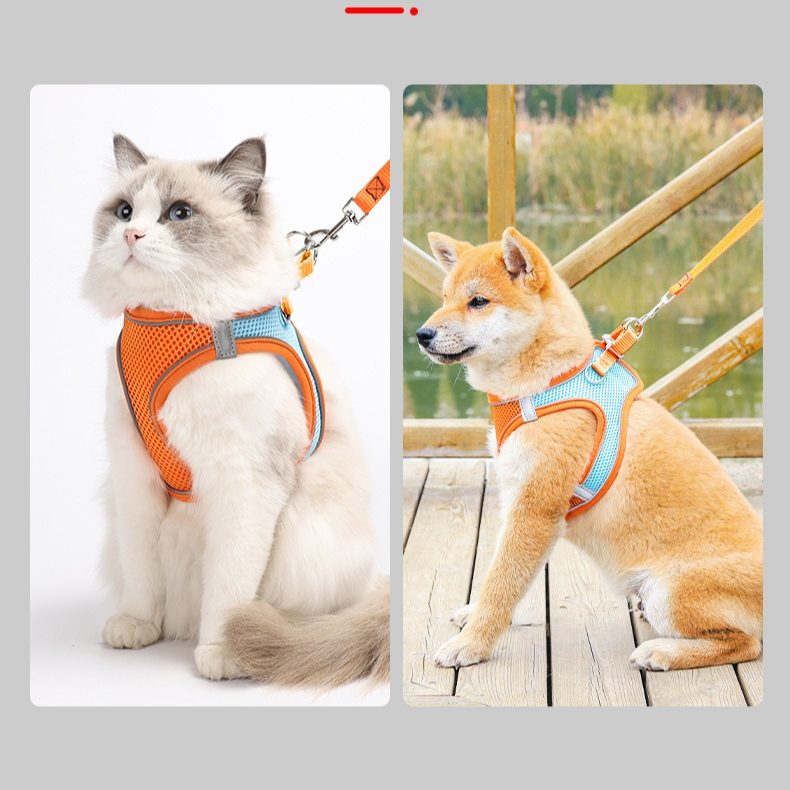 Breathable Reflective Pet Harness Set: Vest-Style Dog Harness + Leash - Pink and Blue-L
