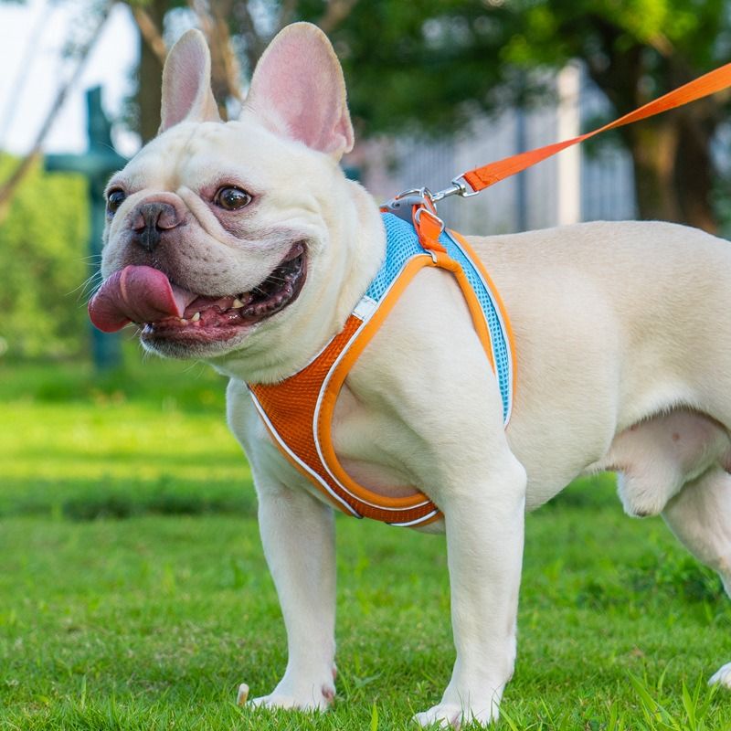 Breathable Reflective Pet Harness Set: Vest-Style Dog Harness + Leash - Pink and Blue-XXS