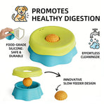 Pet Slow Feeder Bowl-Blue-green