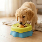 Pet Slow Feeder Bowl-Blue-green