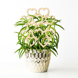 Climbing Vine Fixed Frame China Rose Flower Holder Indoor Flower Plant Support Pole