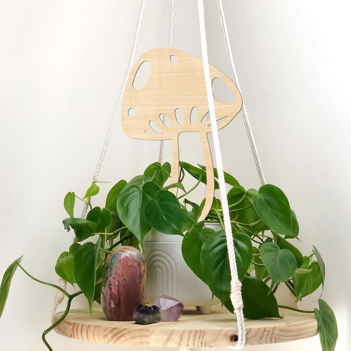 Climbing Vine Fixed Frame China Rose Flower Holder Indoor Flower Plant Support Pole