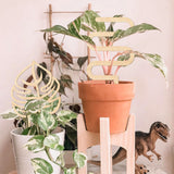 Climbing Vine Fixed Frame China Rose Flower Holder Indoor Flower Plant Support Pole - Extra Image