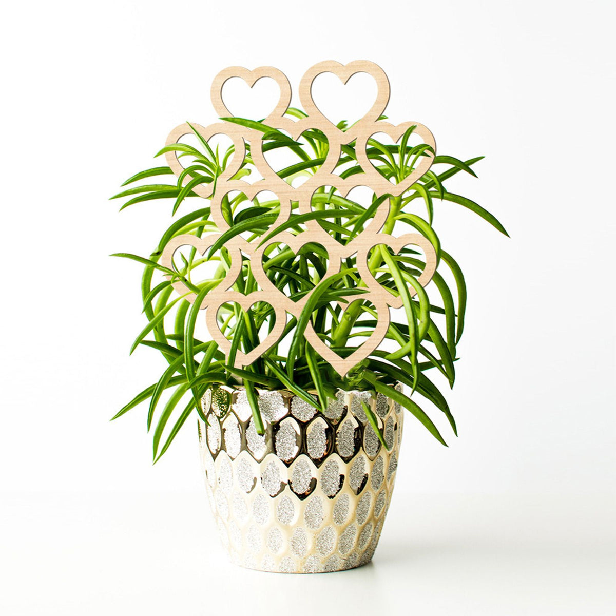 Climbing Vine Fixed Frame China Rose Flower Holder Indoor Flower Plant Support Pole