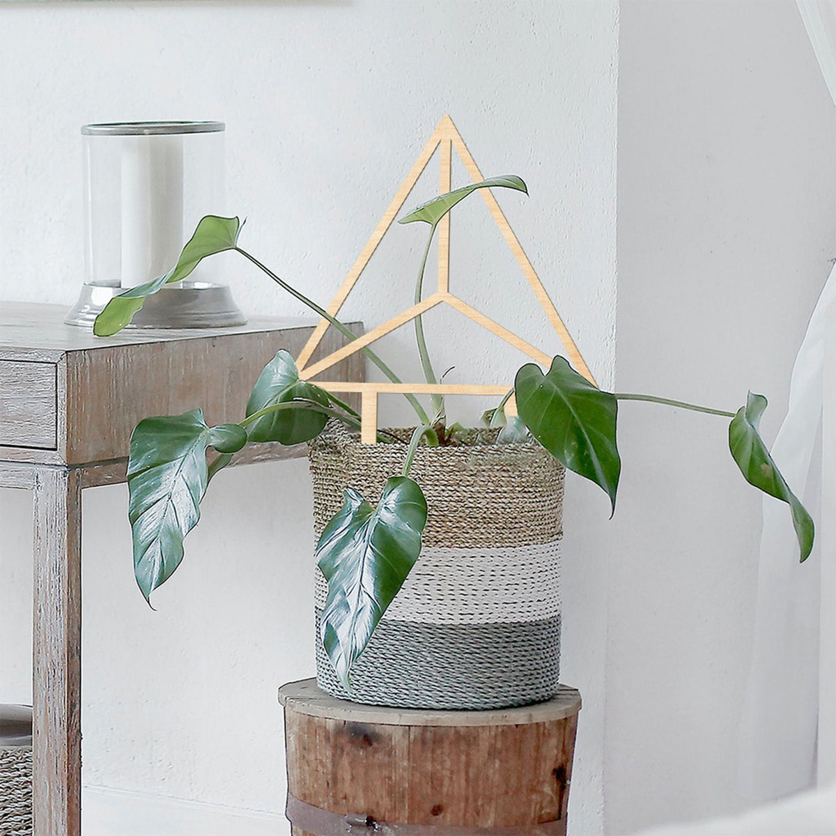 Climbing Vine Fixed Frame China Rose Flower Holder Indoor Flower Plant Support Pole