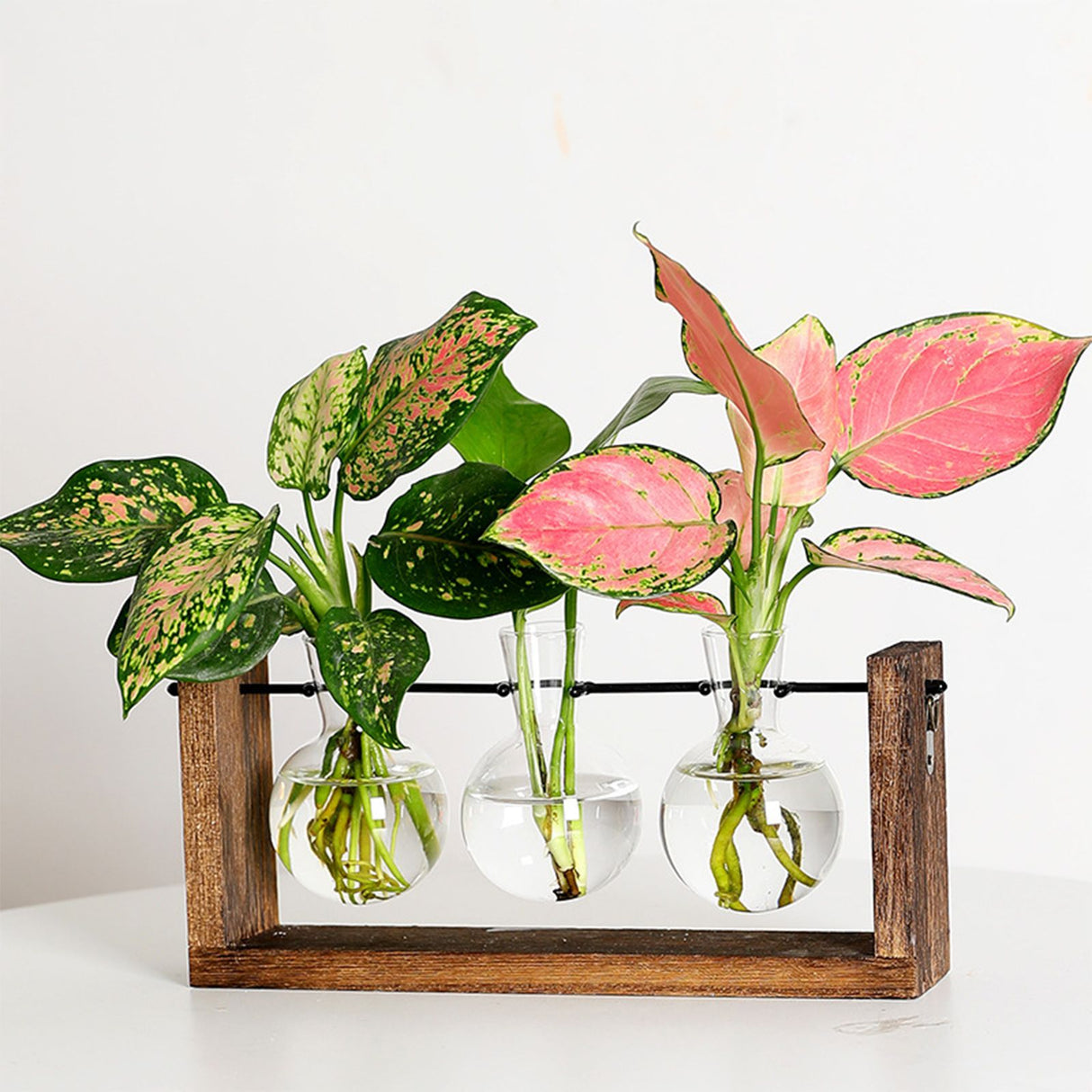 Wall Mounted Hydroponic Vase Green Plant Wooden Frame Vase for Living Room Home Decor