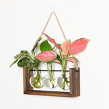 Wall Mounted Hydroponic Vase Green Plant Wooden Frame Vase for Living Room Home Decor