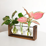 Wall Mounted Hydroponic Vase Green Plant Wooden Frame Vase for Living Room Home Decor
