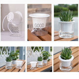 Automatic Water Absorbing Transparent Pot Creative Round Office Desktop Green Plant Hydroponic Plastic Flower Pots - Extra Image