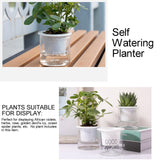 Automatic Water Absorbing Transparent Pot Creative Round Office Desktop Green Plant Hydroponic Plastic Flower Pots - Extra Image