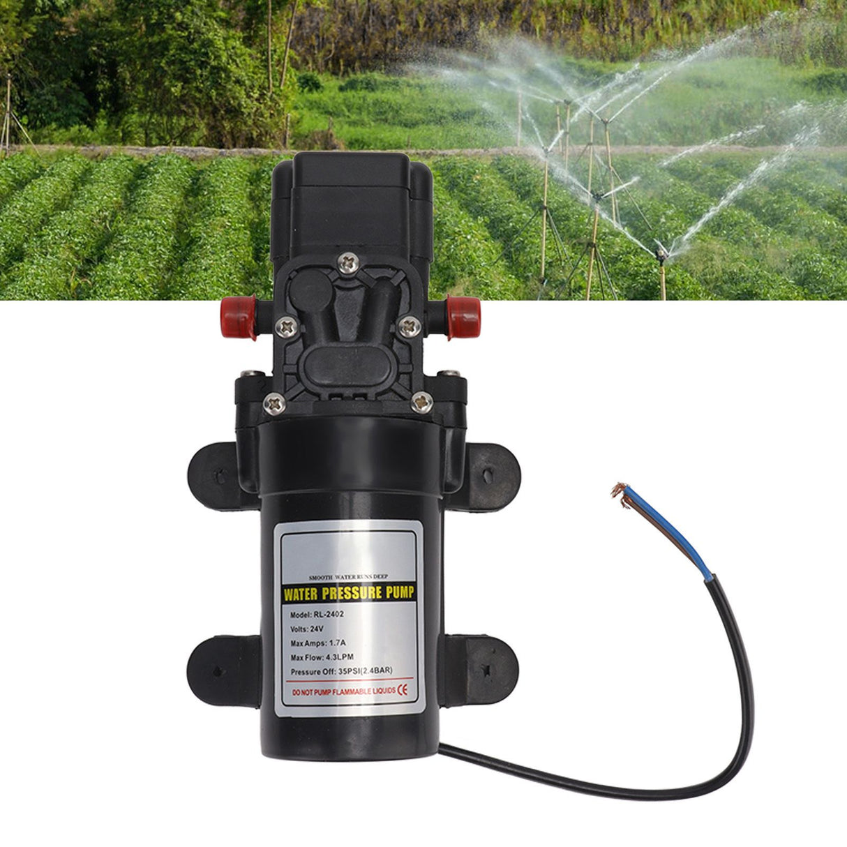 Water Pressure Diaphragm Pump Self Priming Diaphragm Pump High Pressure Water Pump for Outdoor RL 2402 24V