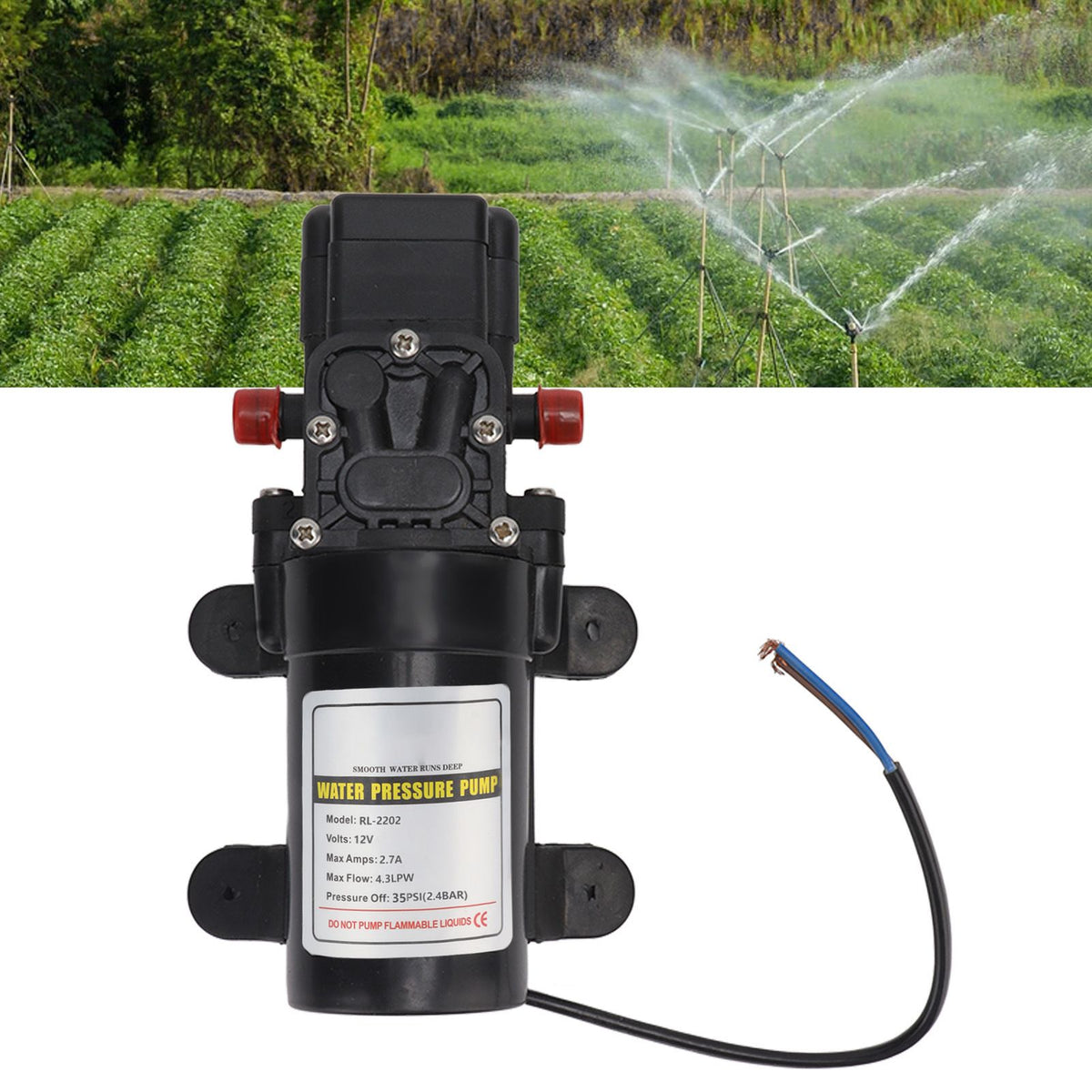 Water Pressure Diaphragm Pump Self Priming Diaphragm Pump High Pressure Water Pump for Outdoor RL 2202 12V