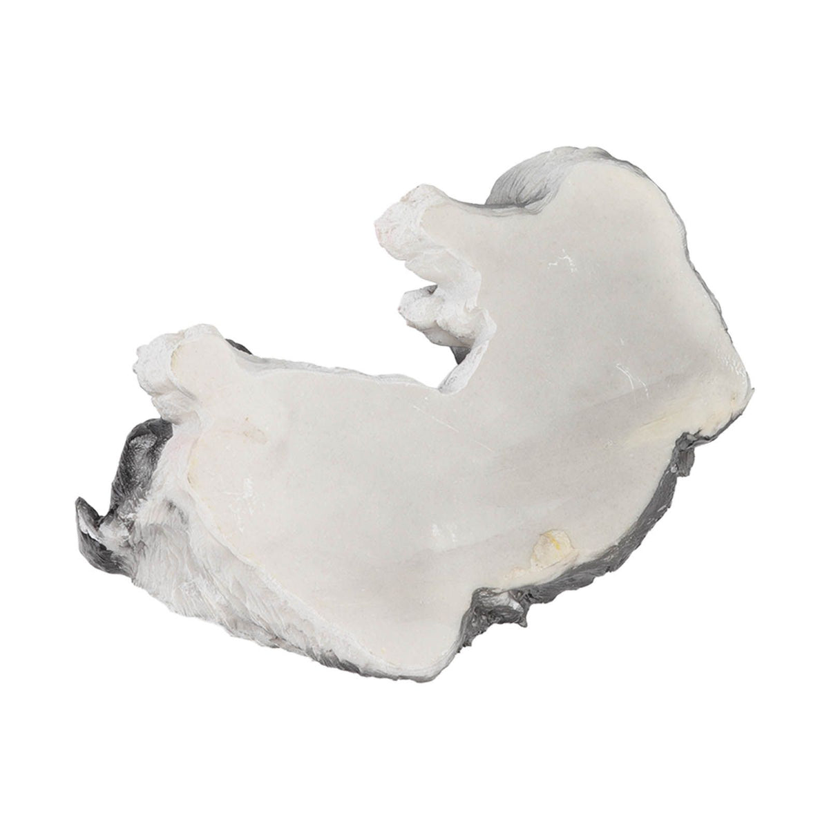 Puppy Statues Sculptures Synthetic Resin Waterproof Border Collie Statue Ornament for Garden Outdoor