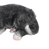 Puppy Statues Sculptures Synthetic Resin Waterproof Border Collie Statue Ornament for Garden Outdoor
