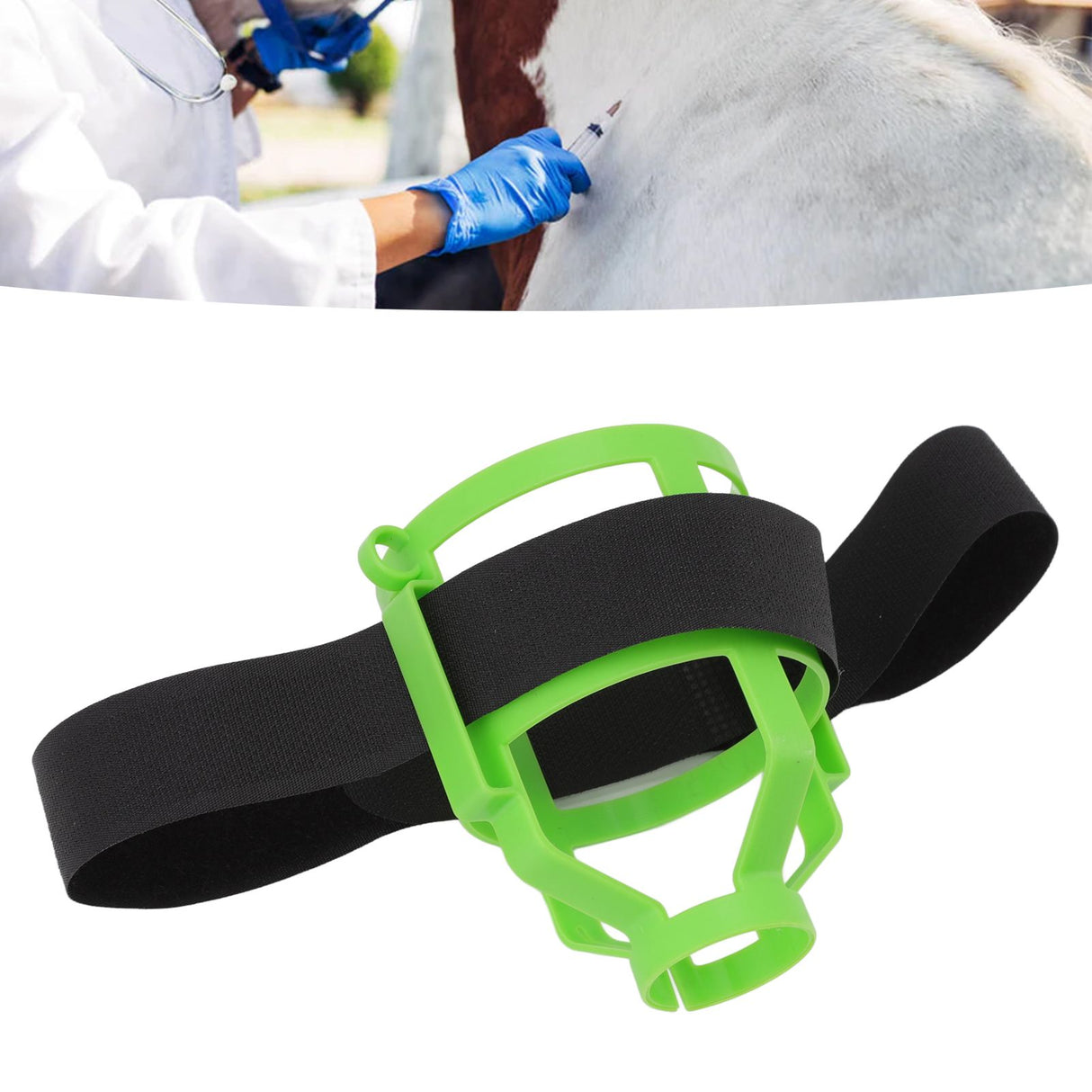 4 Pcs Animal Medicine Bottle Plastic Net Case for Veterinarian Animal Injection Animal Treatment