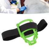 4 Pcs Animal Medicine Bottle Plastic Net Case for Veterinarian Animal Injection Animal Treatment