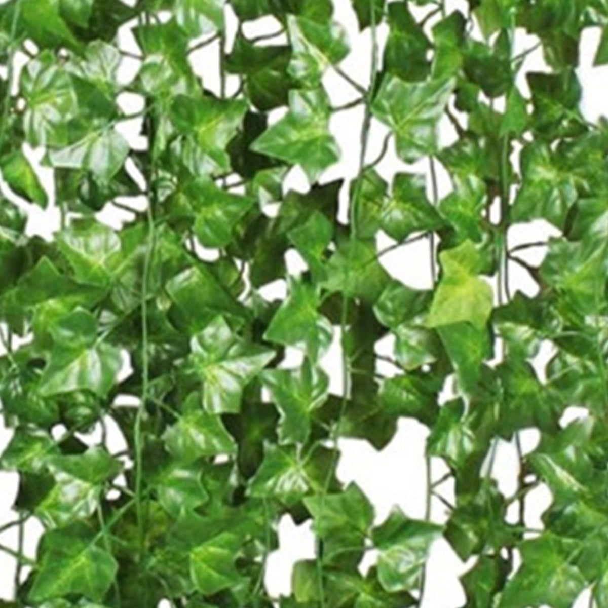 Simulated Ivy Cane Creeper Ivy Decorative Green Plants Ceiling Artificial Vine Eucalyptus Leaves 12PCS