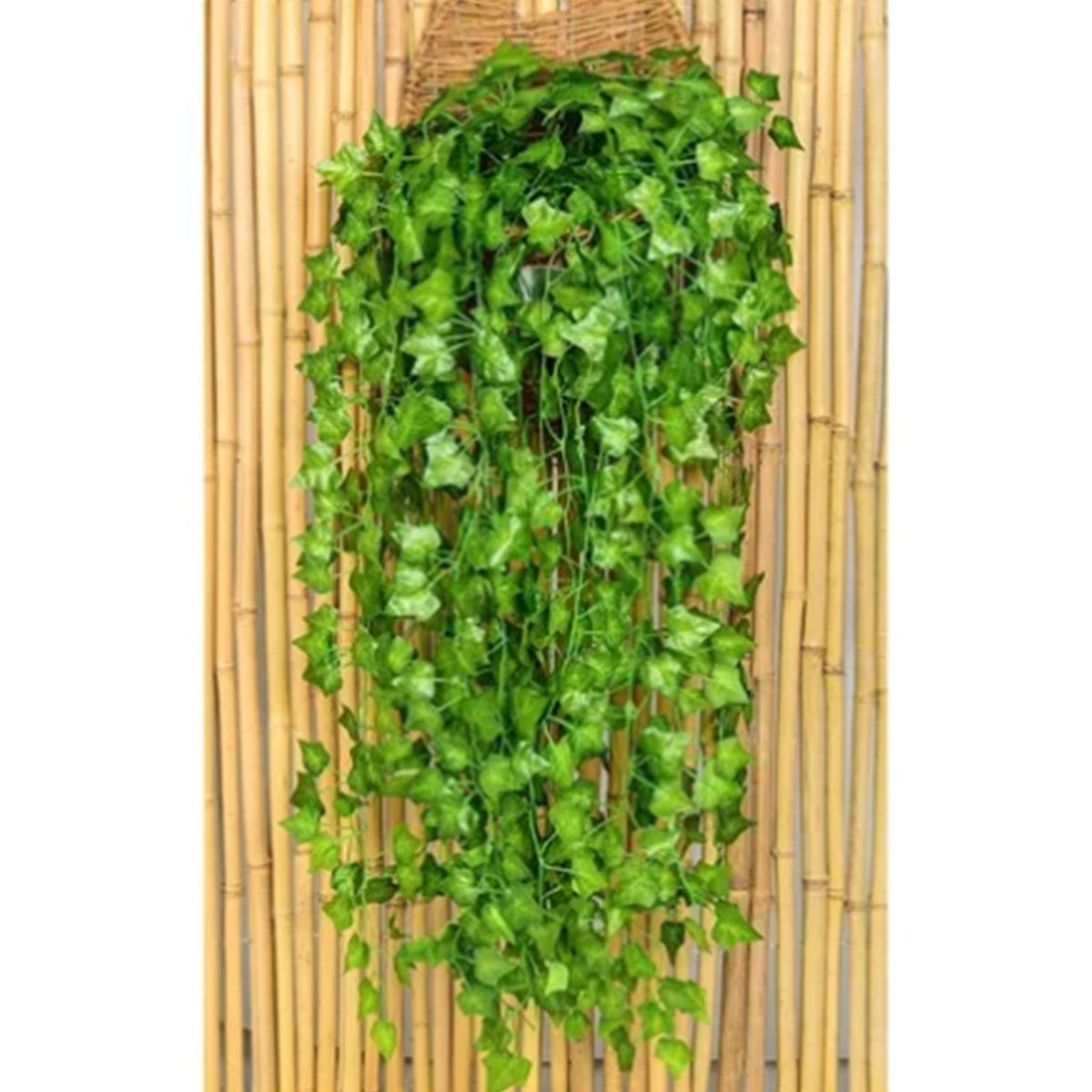 Simulated Ivy Cane Creeper Ivy Decorative Green Plants Ceiling Artificial Vine Eucalyptus Leaves 12PCS