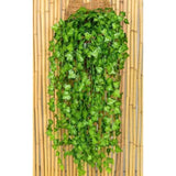 Simulated Ivy Cane Creeper Ivy Decorative Green Plants Ceiling Artificial Vine Eucalyptus Leaves 12PCS