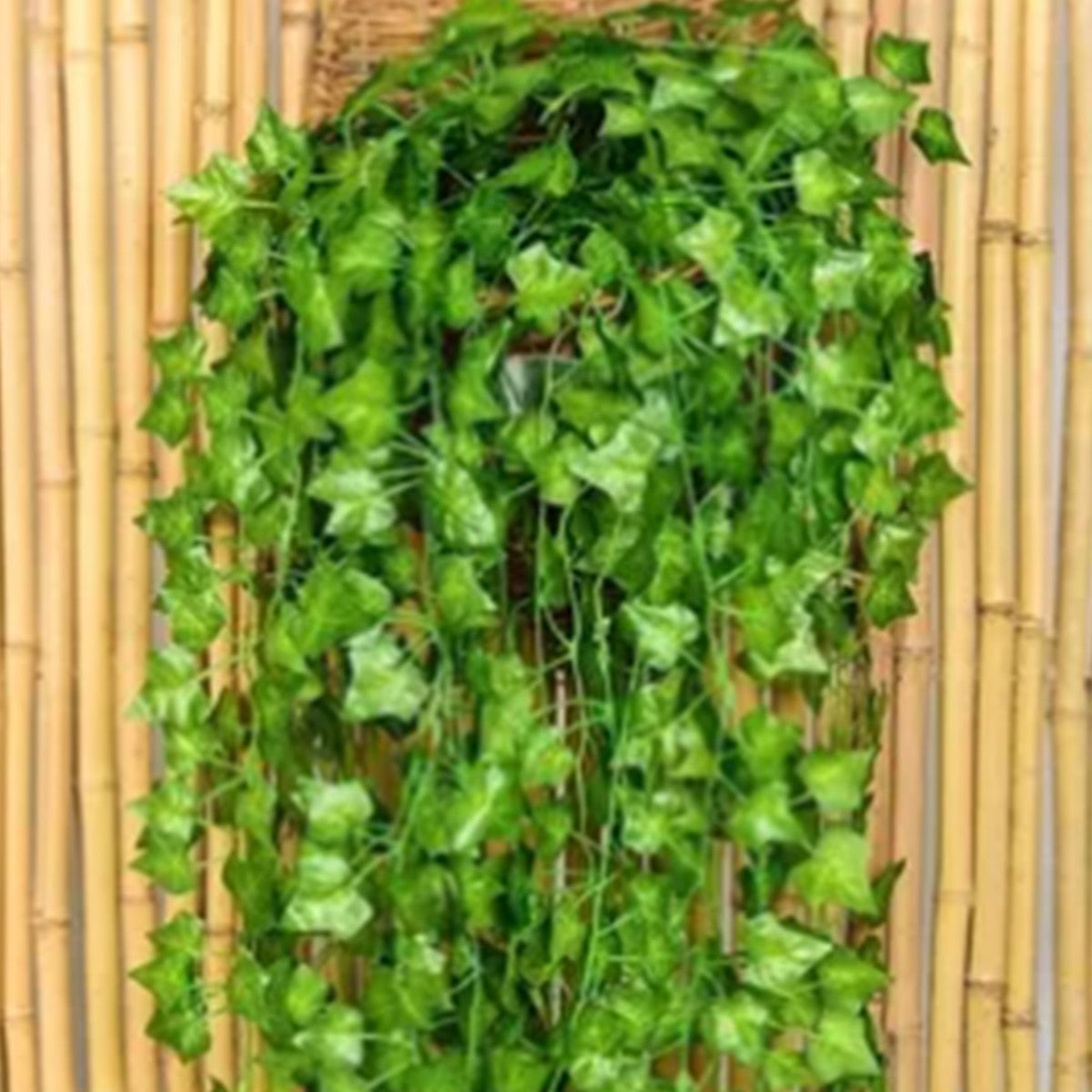 Simulated Ivy Cane Creeper Ivy Decorative Green Plants Ceiling Artificial Vine Eucalyptus Leaves 12PCS