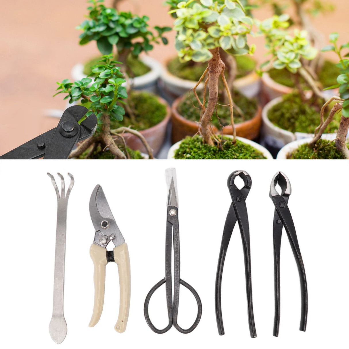 5Pcs Bonsai Tool Set Kit Carbon Steel Bonsai Scissors Rake Branch Cutter Pruning Shears Pliers Garden Tools